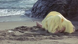 Faye Dunaway – The Arrangement (1969)
